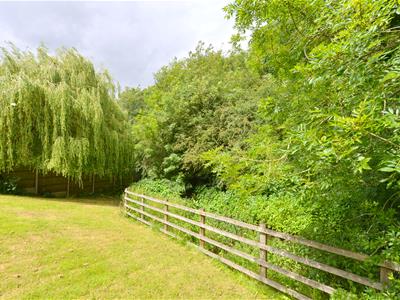 Picture 29